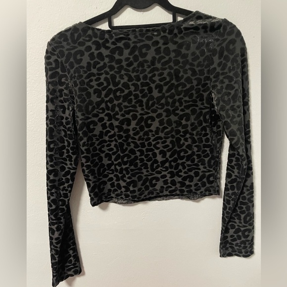NWOT Sincerely Jules velvet burnout animal print crop top. Size Medium - Picture 2 of 4